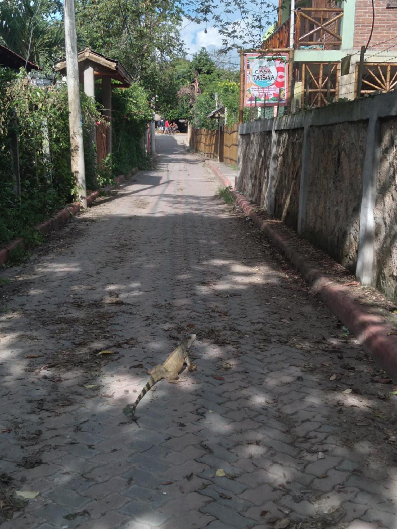 Hostal Casa Taisha Montañita Екстериор снимка